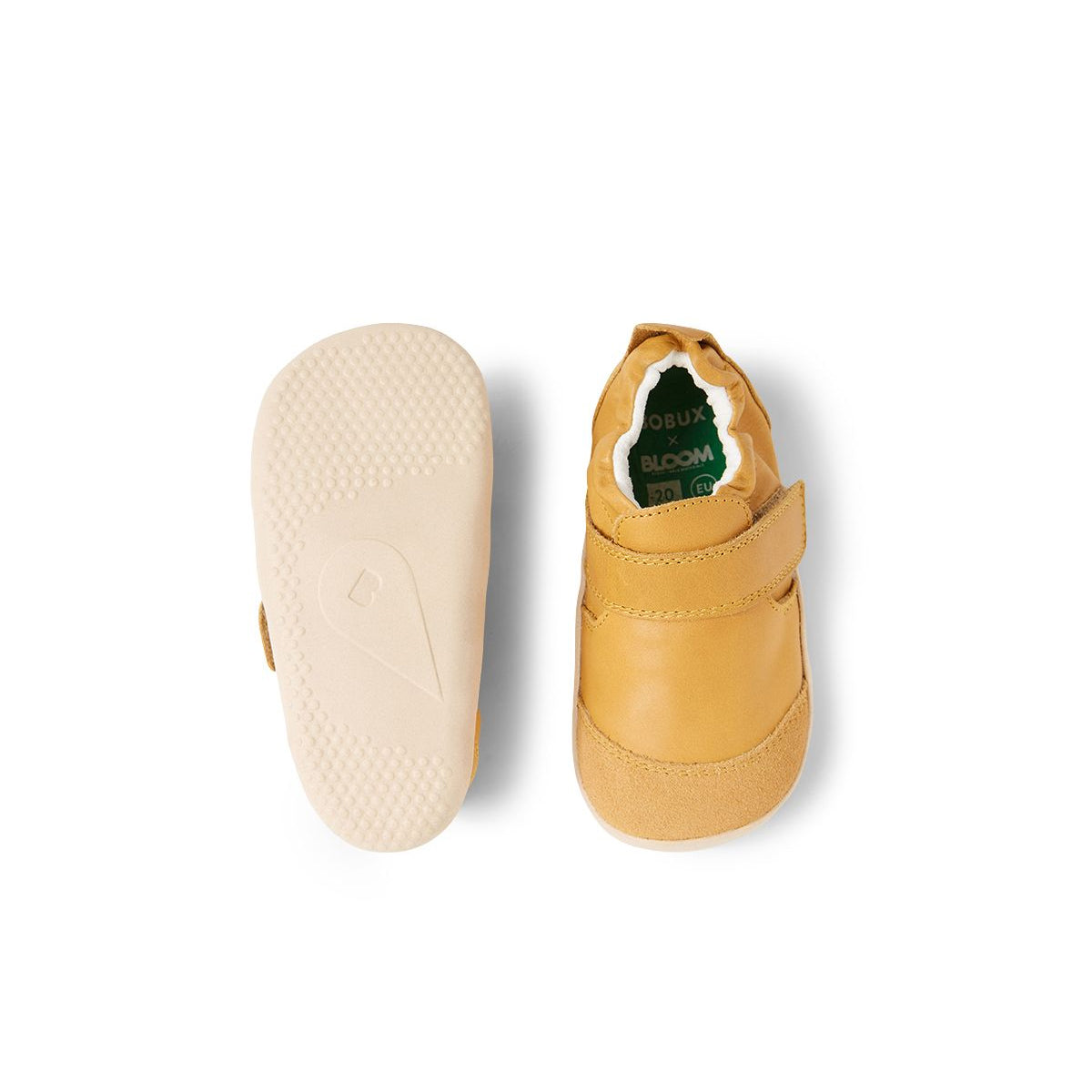 XP Marvel (Oak Buff)