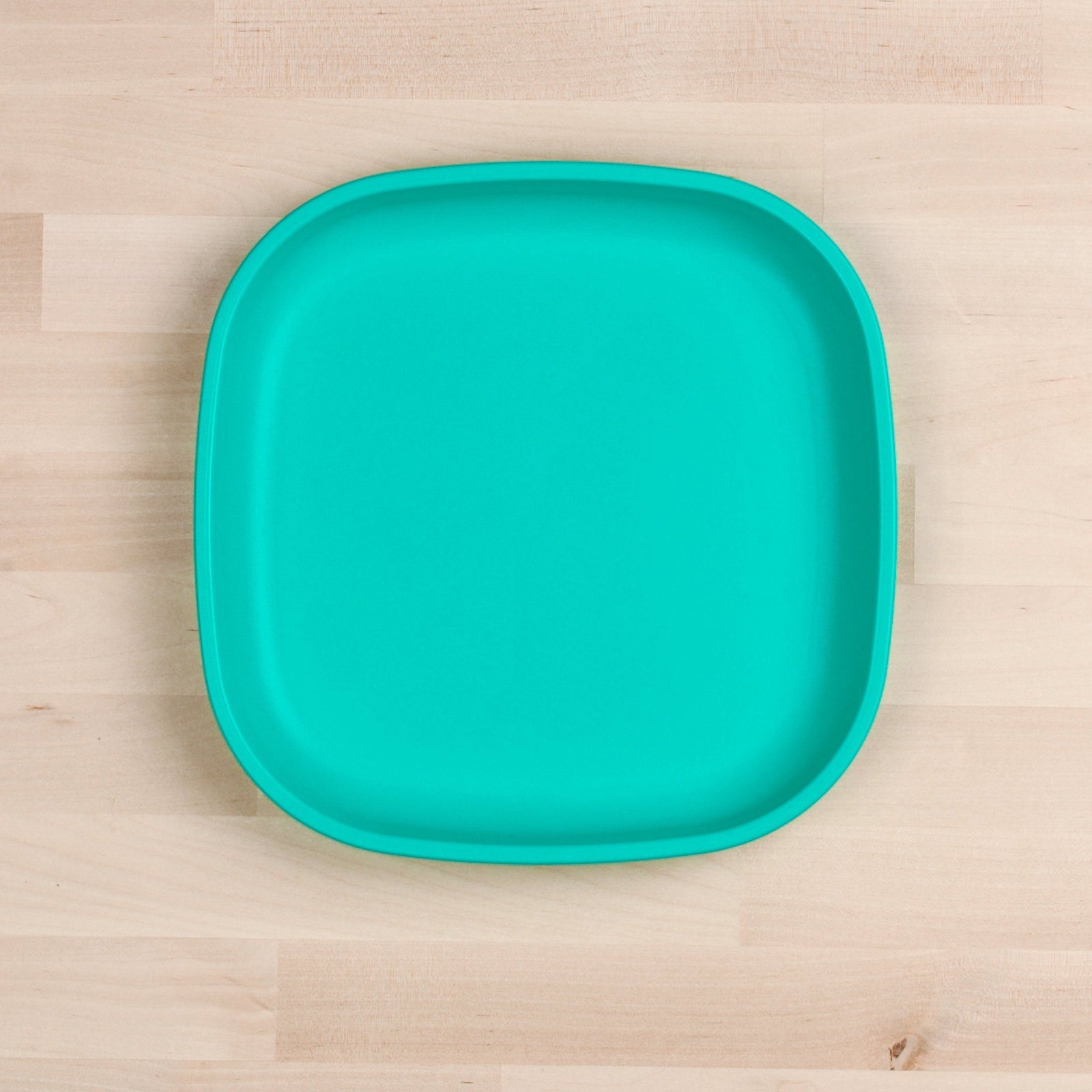 Large Flat Plate (Aqua)
