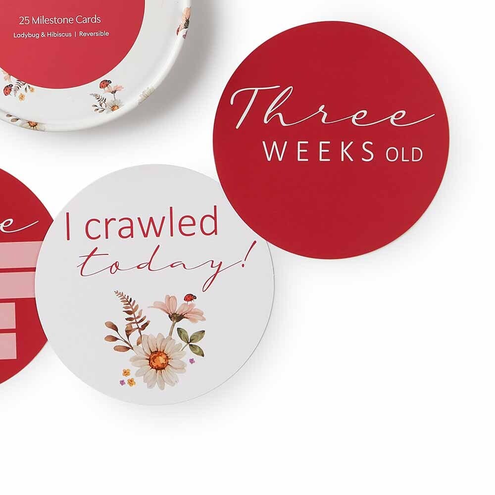 Ladybug & Hibiscus Reversible Milestone Cards