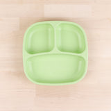 Divided Plate (Leaf)