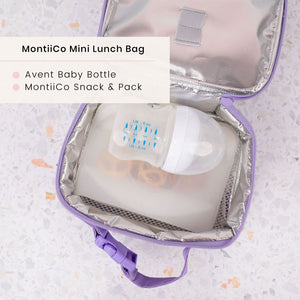 Mini Insulated Lunch Bag (Dinosaur)