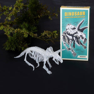 Dinosaur Skeleton Kit (Assorted)