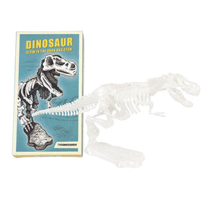 Dinosaur Skeleton Kit (Assorted)
