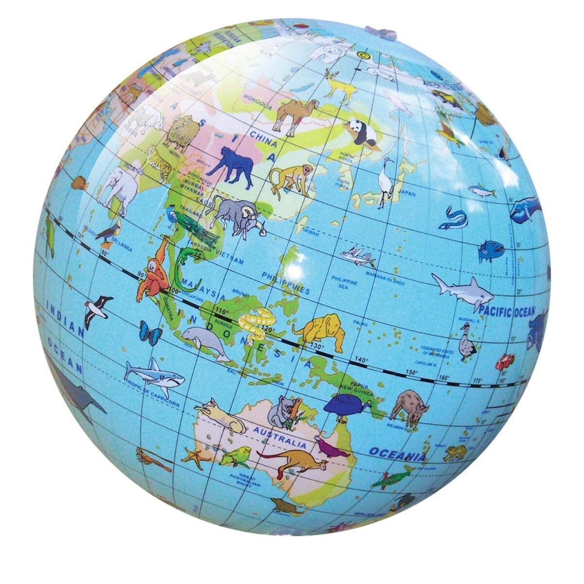 World Globe - Animals Of The World