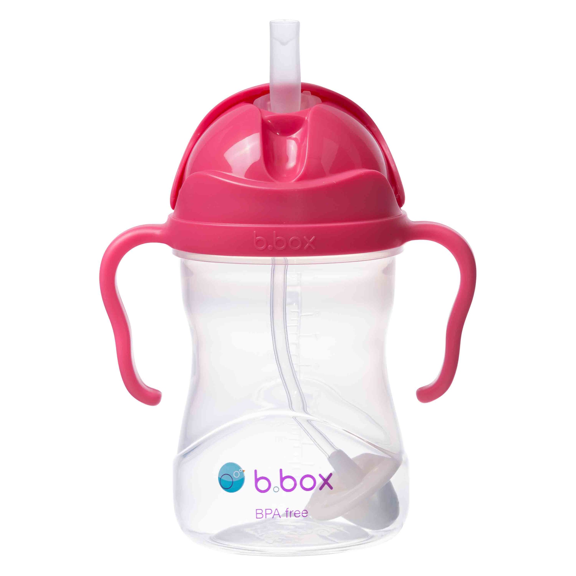 Sippy Cup (Raspberry)