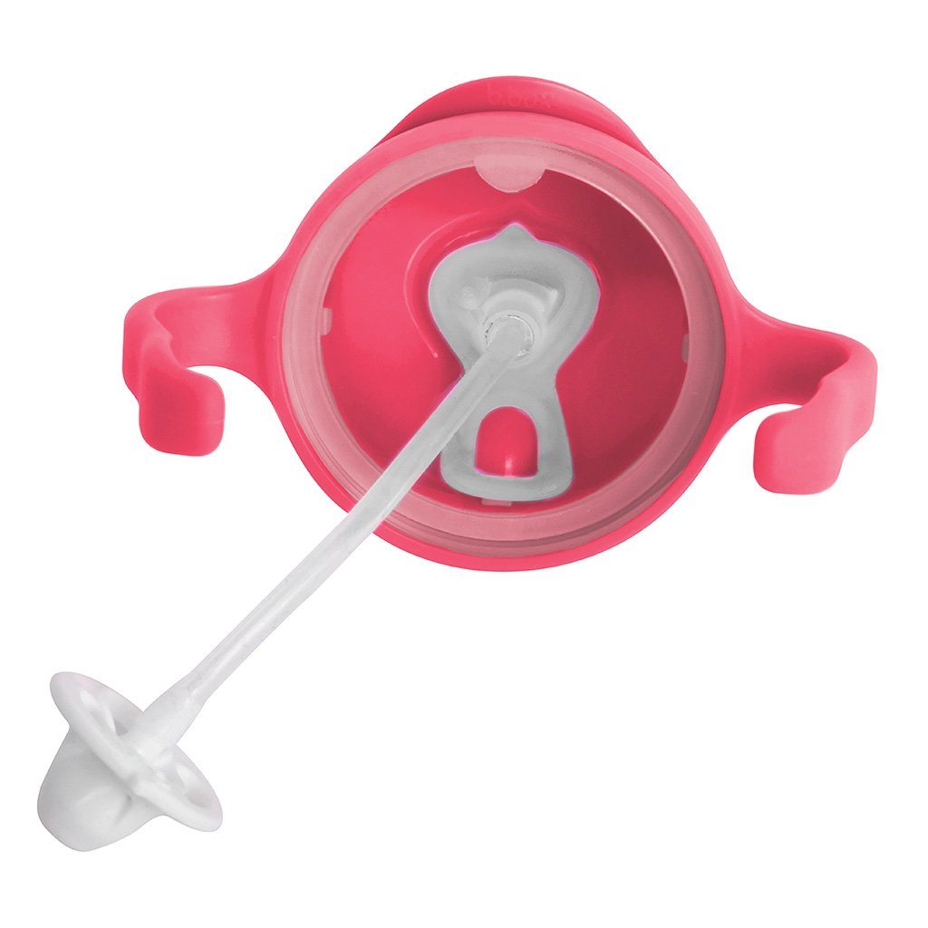 Sippy Cup (Raspberry)