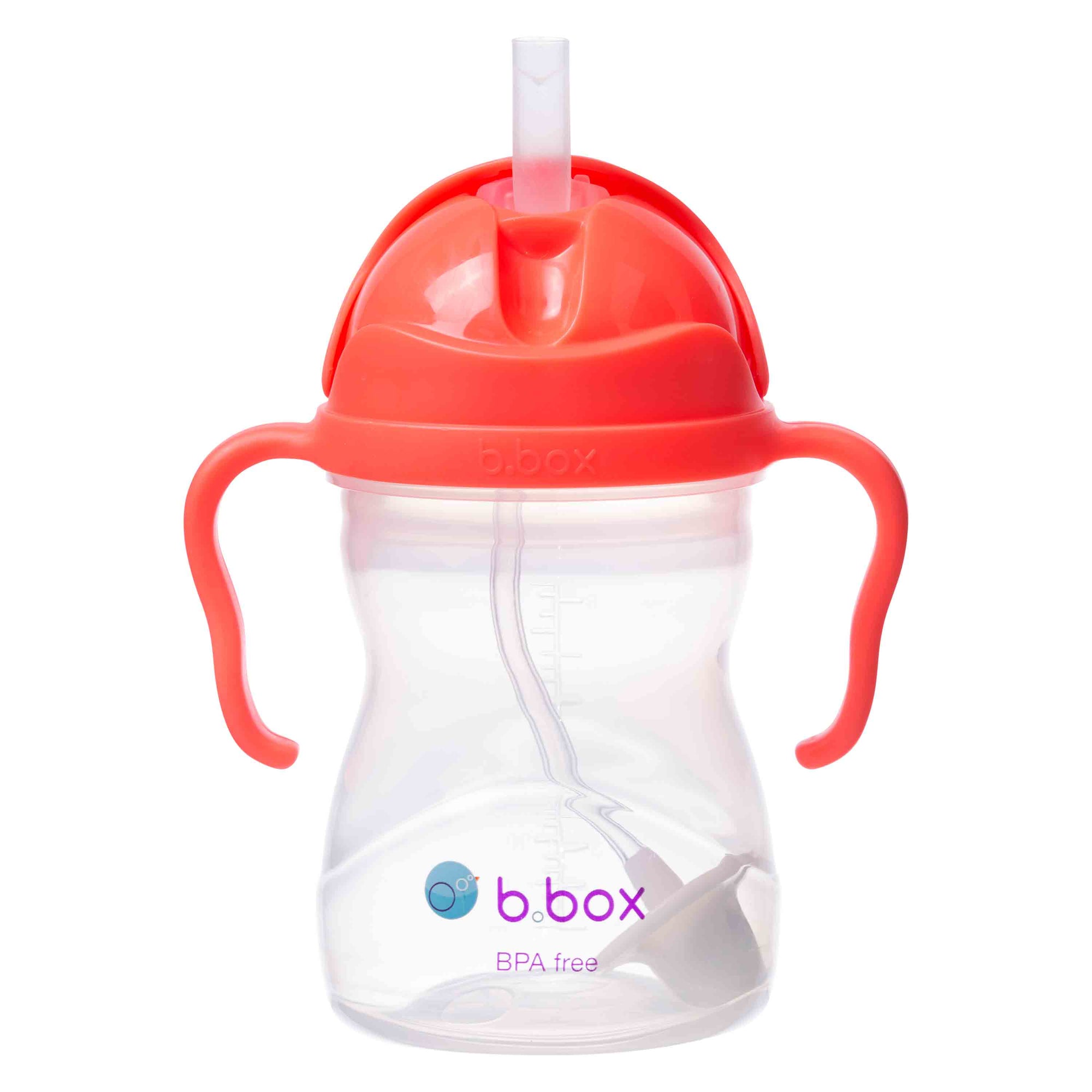 Sippy Cup (Watermelon)