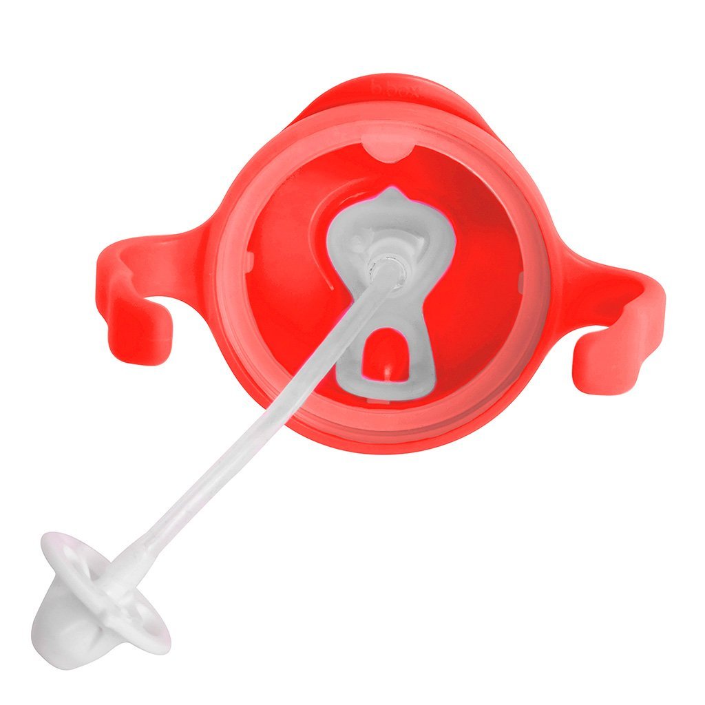 Sippy Cup (Watermelon)