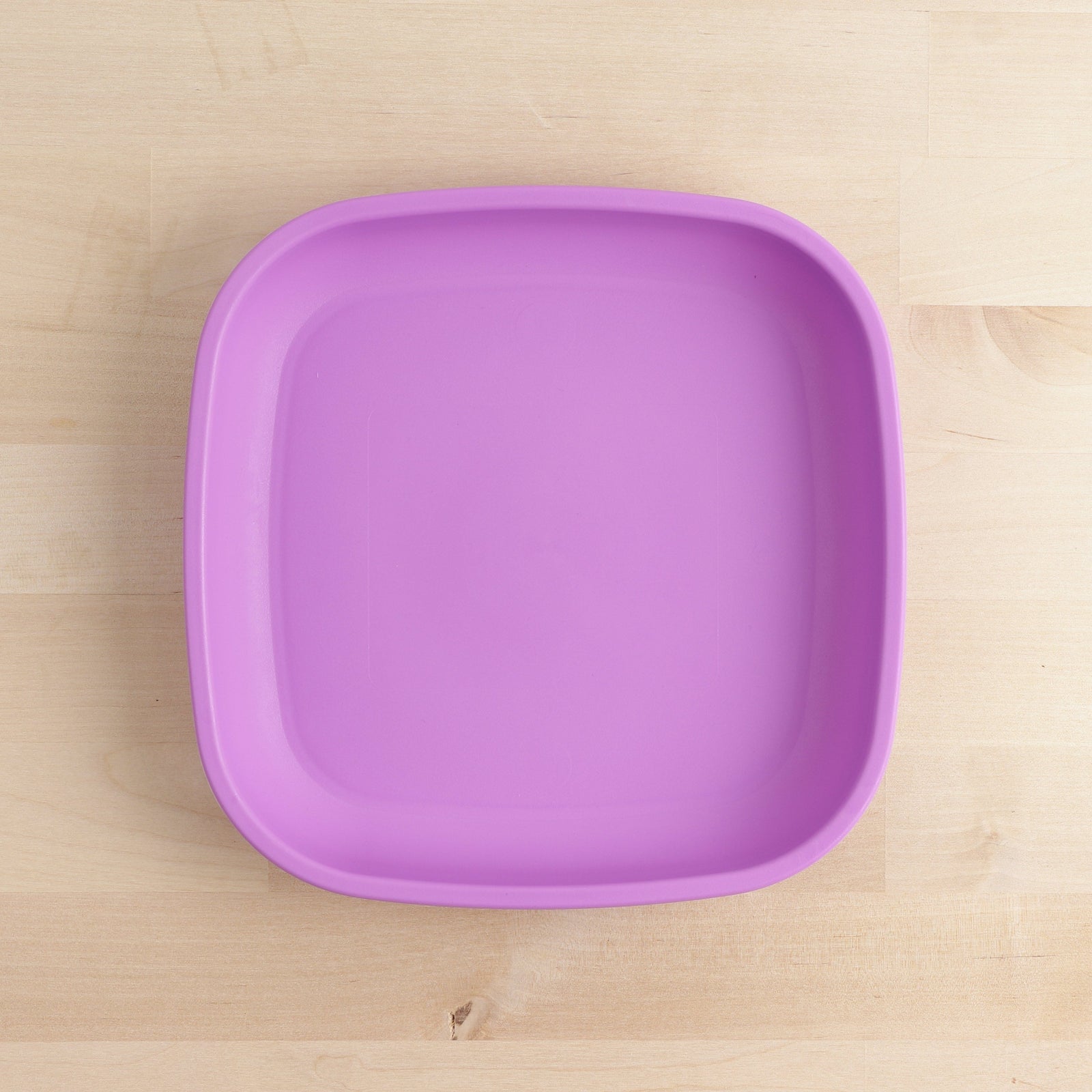 Large Flat Plate (Purple)