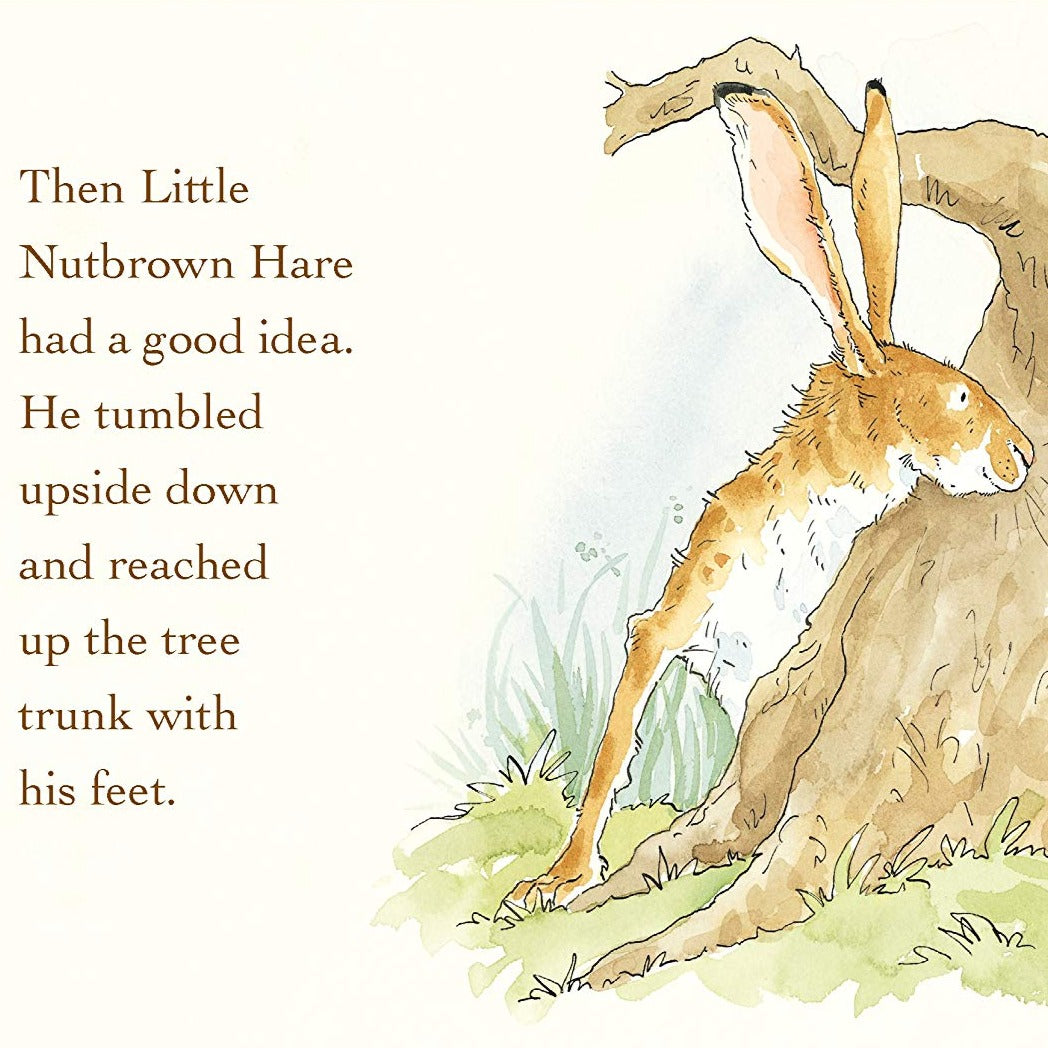 Guess How Much I Love You Board Book