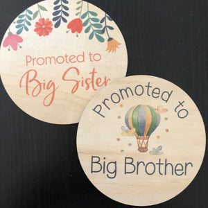 Big Brother Announcement Disc