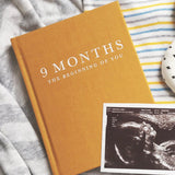 9 Months (The Beginning of You)