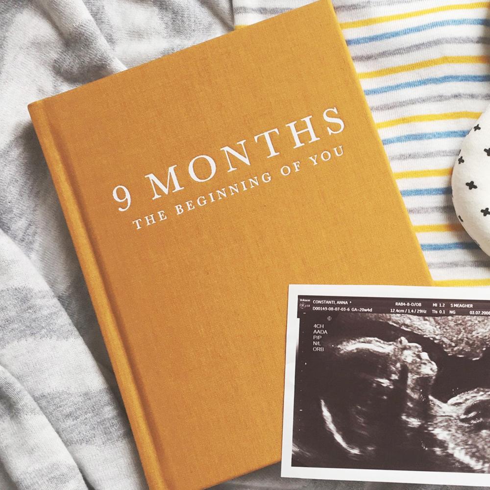 9 Months (The Beginning of You)