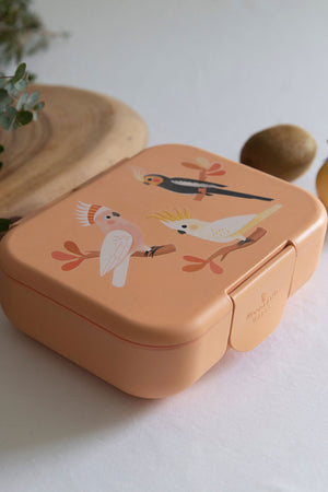 Eco Bento Lunch Box (Native Birds)