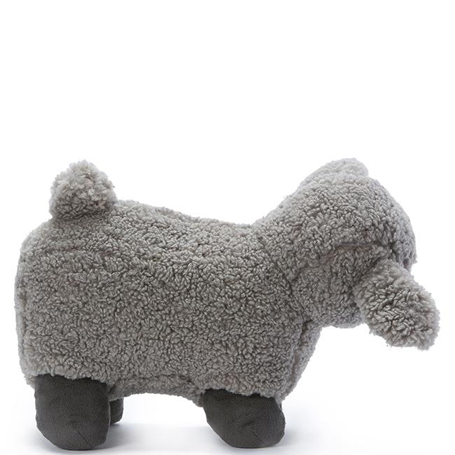 Charlotte the Sheep