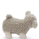 Charlotte the Sheep