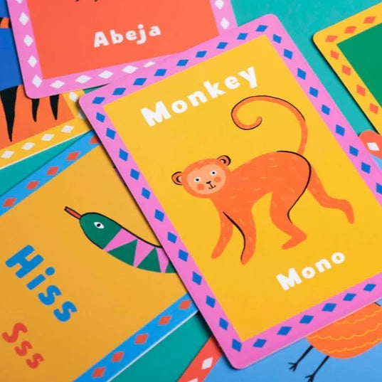 Animal Flash Cards