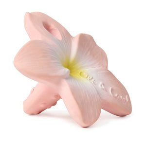 Hawaii The Flower Mini Teether