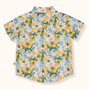 Holiday Orchard Linen Shirt