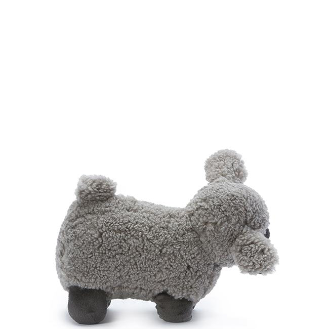 Lucy the Lamb