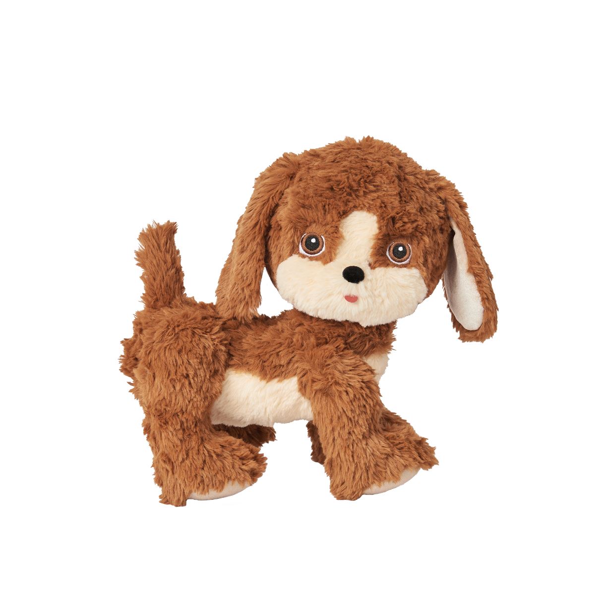 Dinkum Dogs - Buddy