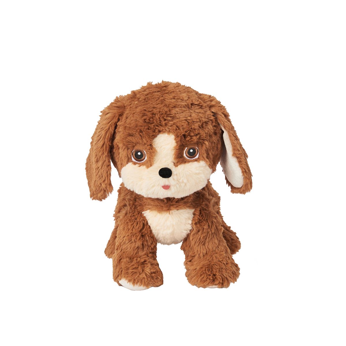 Dinkum Dogs - Buddy