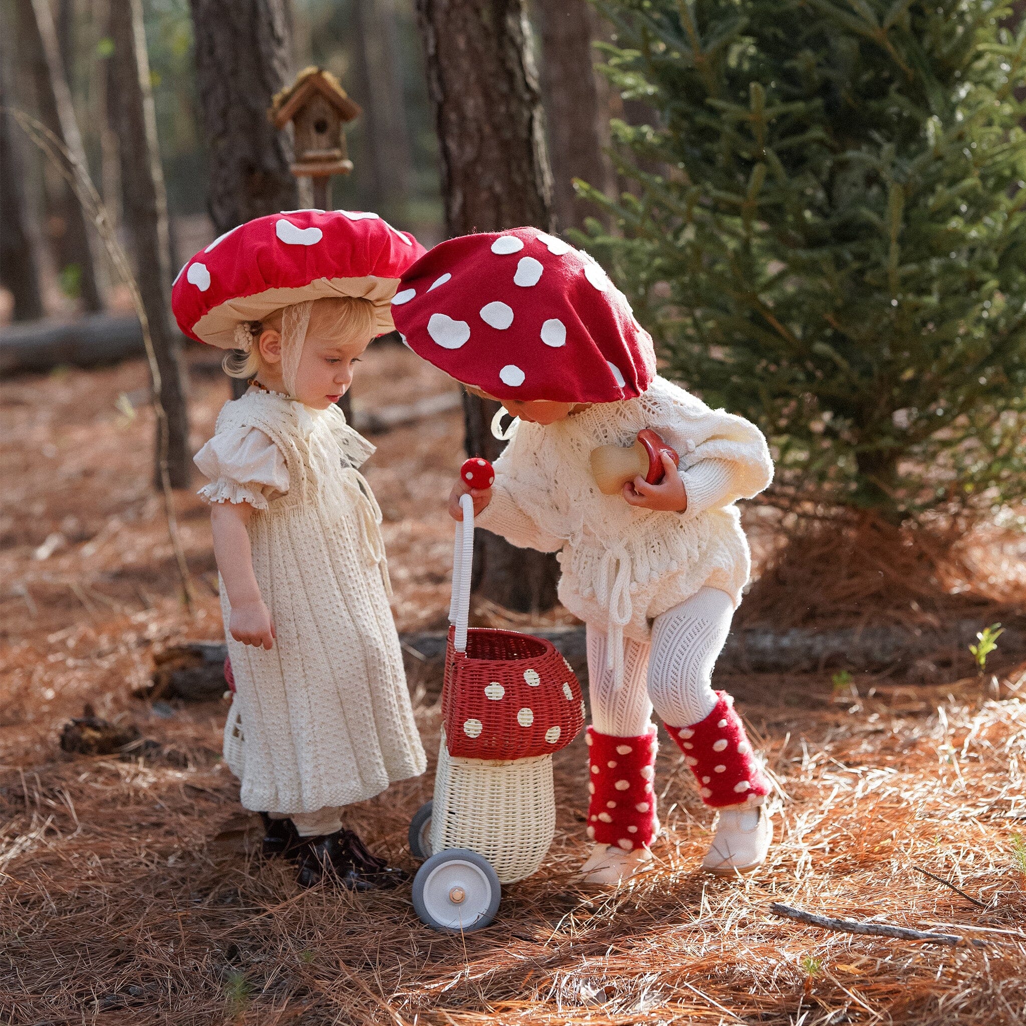 Rattan Mushroom Luggy (Red)