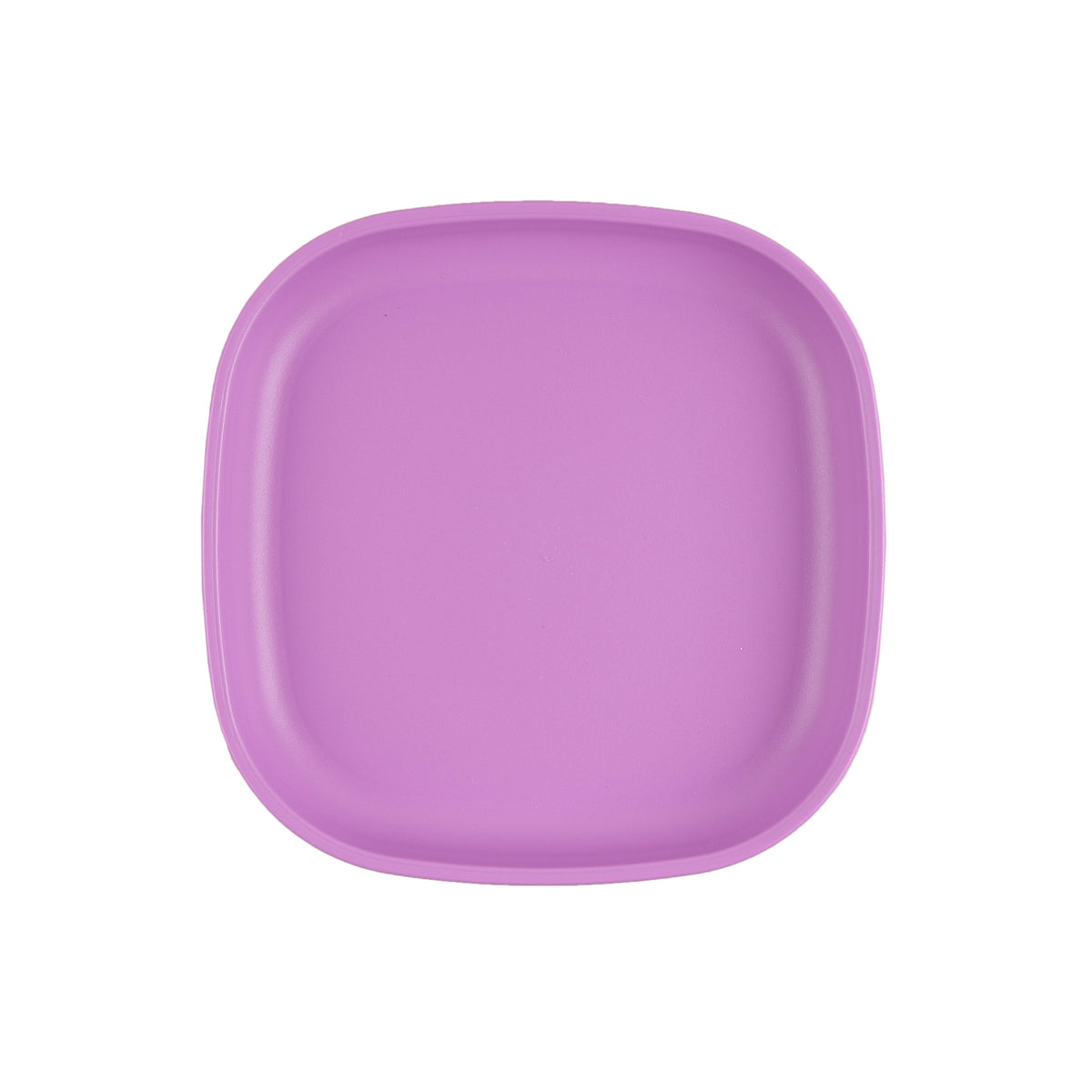 Large Flat Plate (Purple)