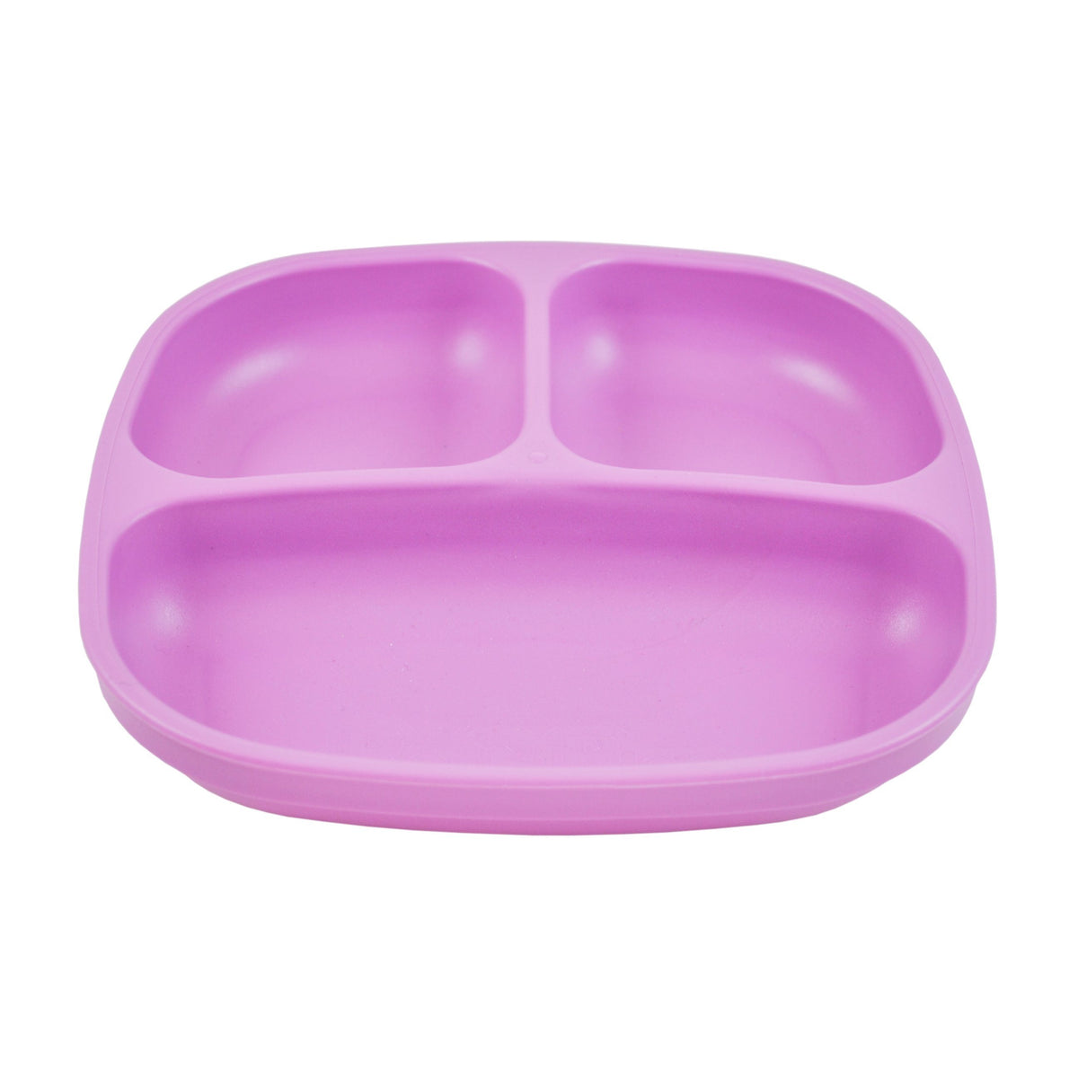 Divided Plate (Purple)