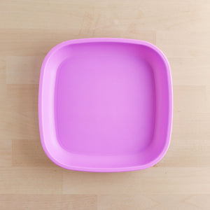 Flat Plate (Purple)