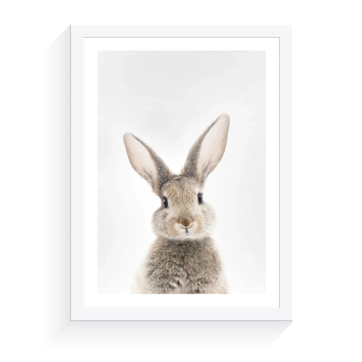 Bunny - A2 Framed Print