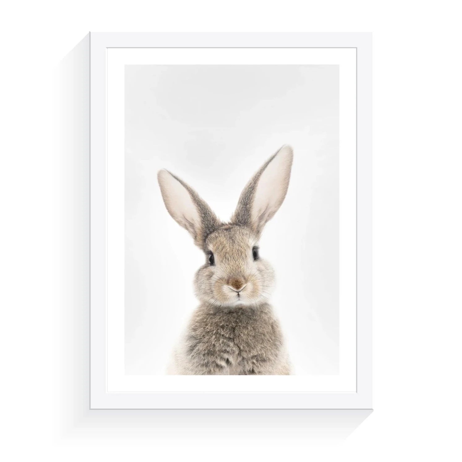 Bunny - A2 Framed Print