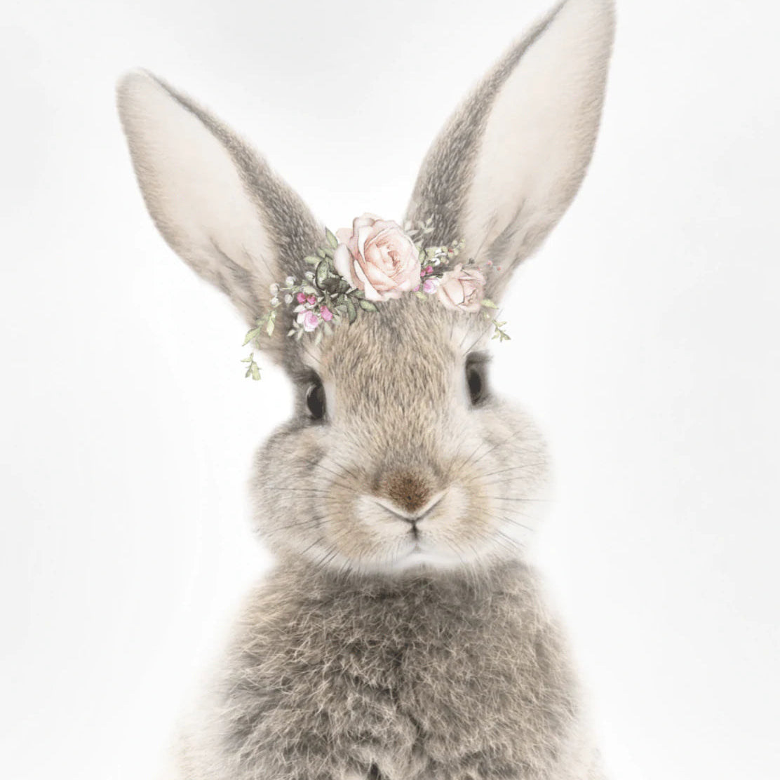 Bunny Rose Crown - A2 Framed Print