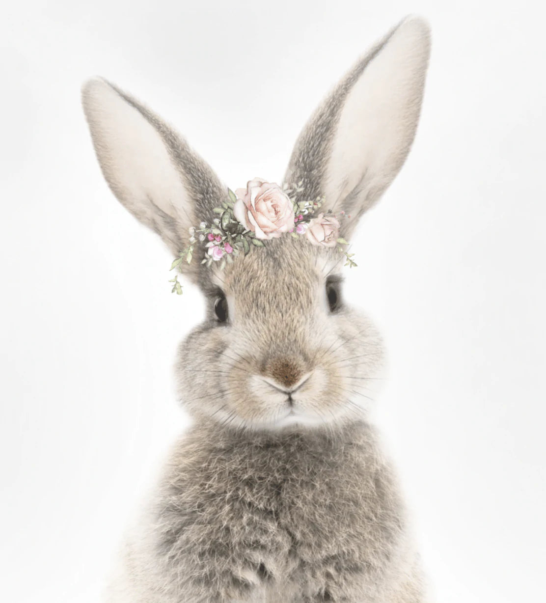 Bunny Rose Crown - A2 Framed Print