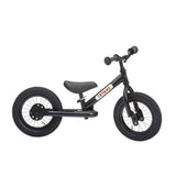 Steel 2 In 1 Trybike (Black)