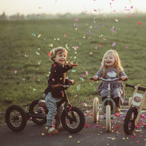 Steel 2 In 1 Trybike (Black)