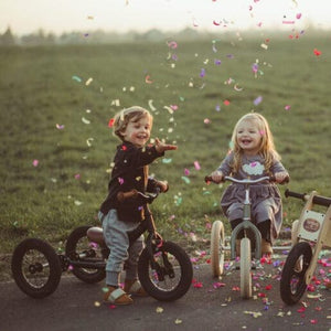 Steel 2 In 1 Trybike (Black)