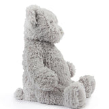Neddy the Teddy