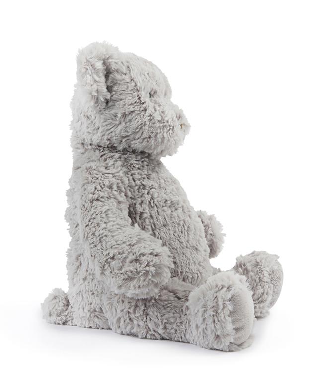 Neddy the Teddy - Kawaii Kids