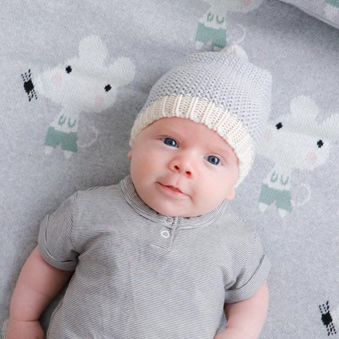 Mini Moss Baby Beanie (Grey)