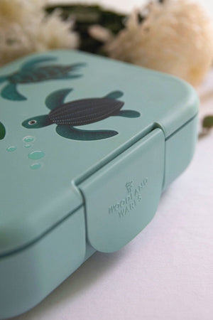 Eco Bento Lunch Box (Turtles)