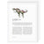 Dinosaur Zodiac A4 Print (Gemini)