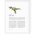 Dinosaur Zodiac A4 Print (Leo)
