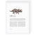 Dinosaur Zodiac A4 Print (Libra)