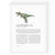 Dinosaur Zodiac A4 Print (Sagittarius)