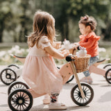 Tiny Tot Trike Plus (Rose)
