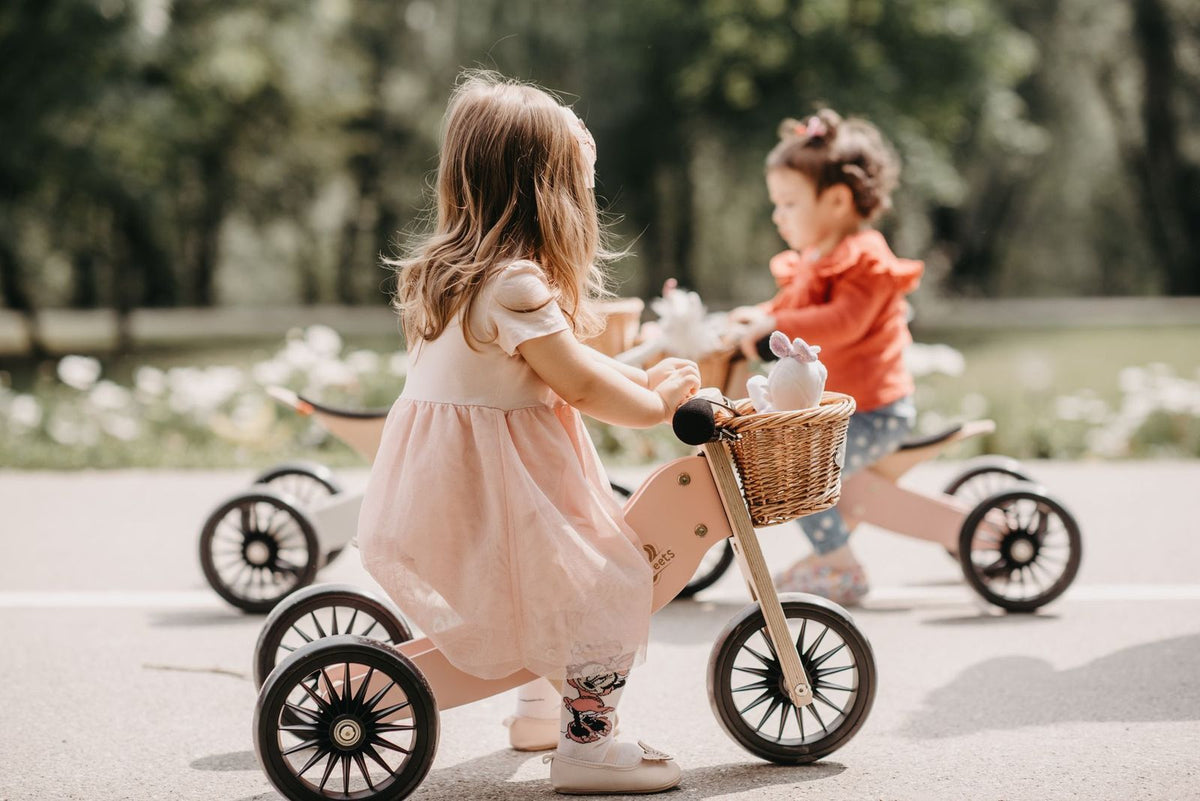 Tiny Tot Trike Plus (Rose)