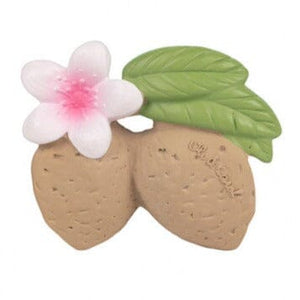 Aly The Almond Teether
