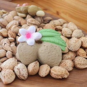 Aly The Almond Teether