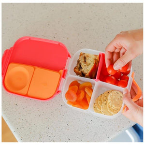 Mini Bento Lunchbox (Lilac Pop)